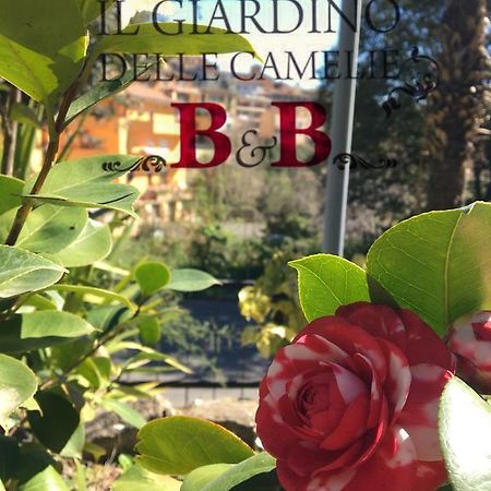 פלסטרינה B&B Il Giardino Delle Camelie מראה חיצוני תמונה