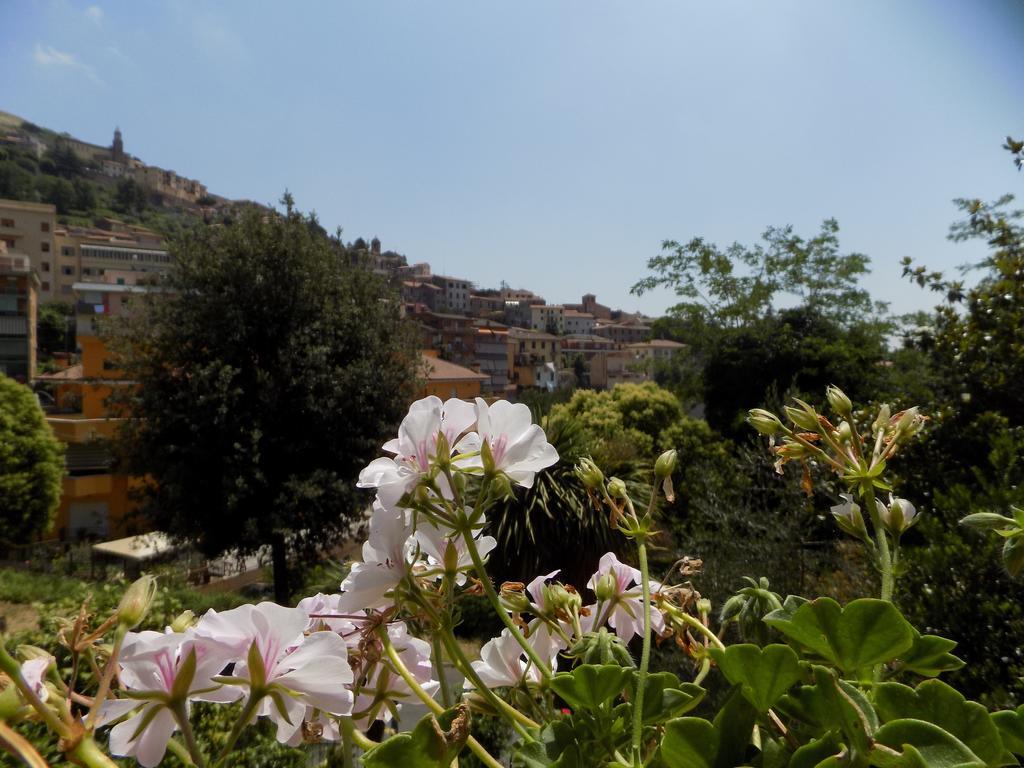 פלסטרינה B&B Il Giardino Delle Camelie מראה חיצוני תמונה
