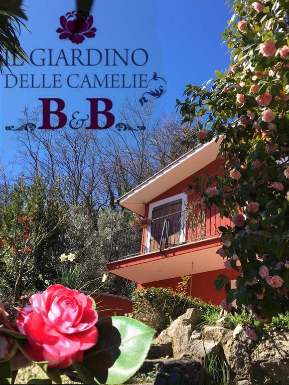 פלסטרינה B&B Il Giardino Delle Camelie מראה חיצוני תמונה