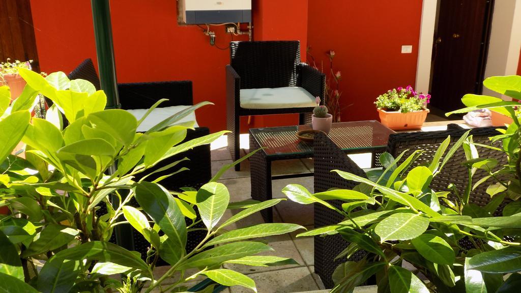 פלסטרינה B&B Il Giardino Delle Camelie מראה חיצוני תמונה