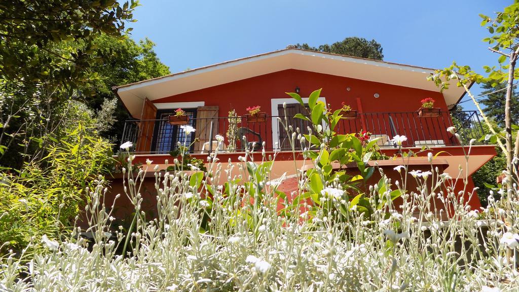 פלסטרינה B&B Il Giardino Delle Camelie מראה חיצוני תמונה