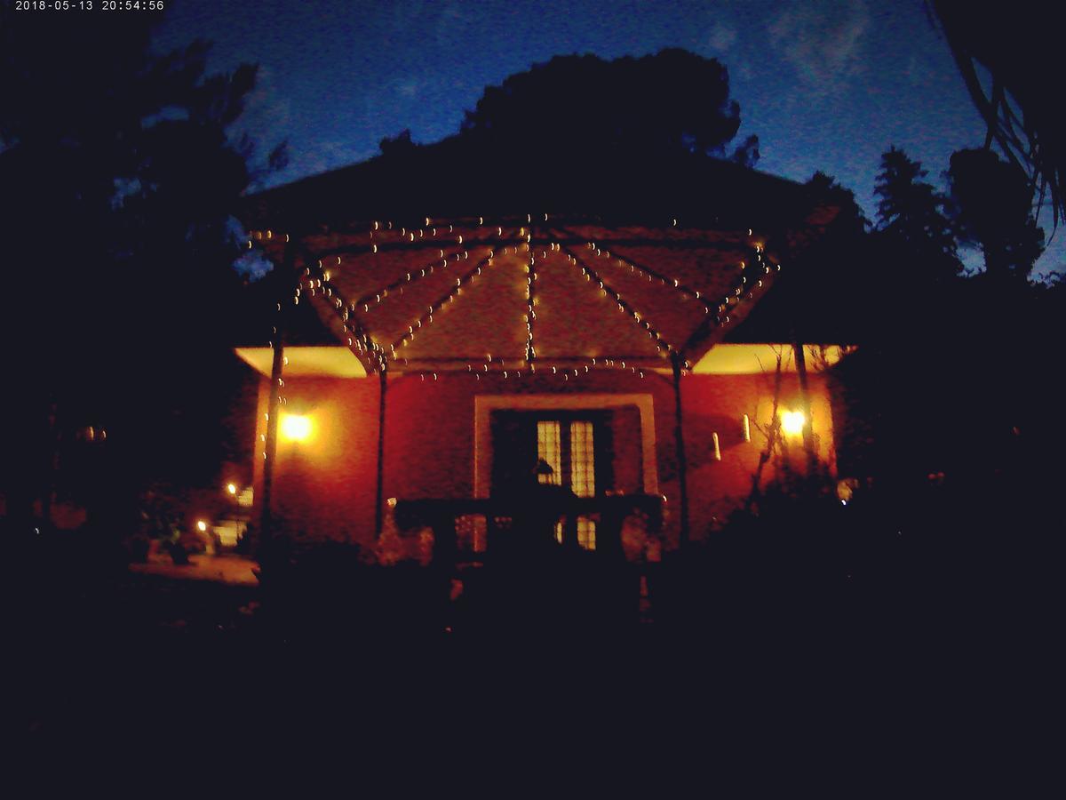 פלסטרינה B&B Il Giardino Delle Camelie מראה חיצוני תמונה